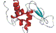 enzyme (lysozyme)